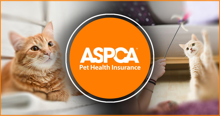 ASPCA pet health insurance
